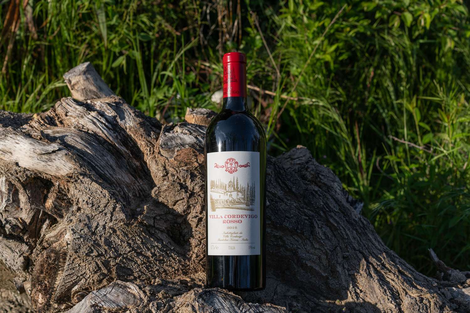 Dégustations Dégustations