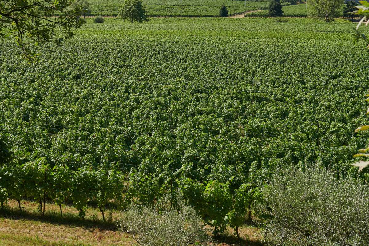 Nous sommes les champions de la biodiversité