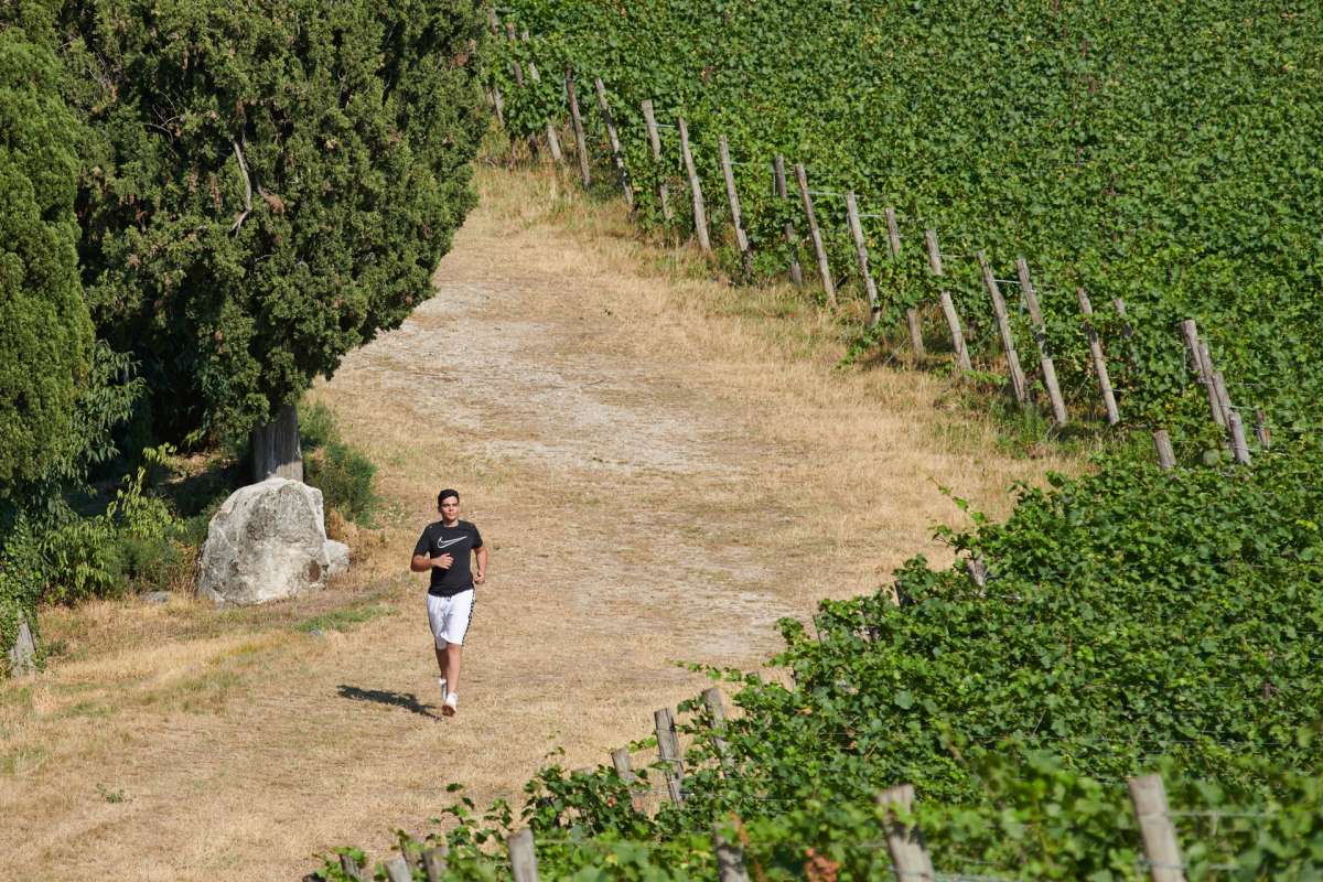 En 2021, nous avons inauguré notre sentier de santé de 2 km