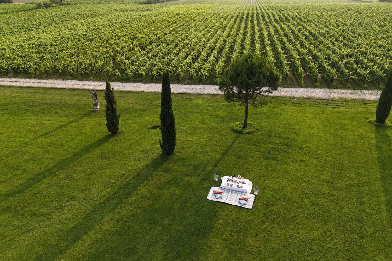 Une expérience romantique de vin & nature Une expérience romantique de vin & nature