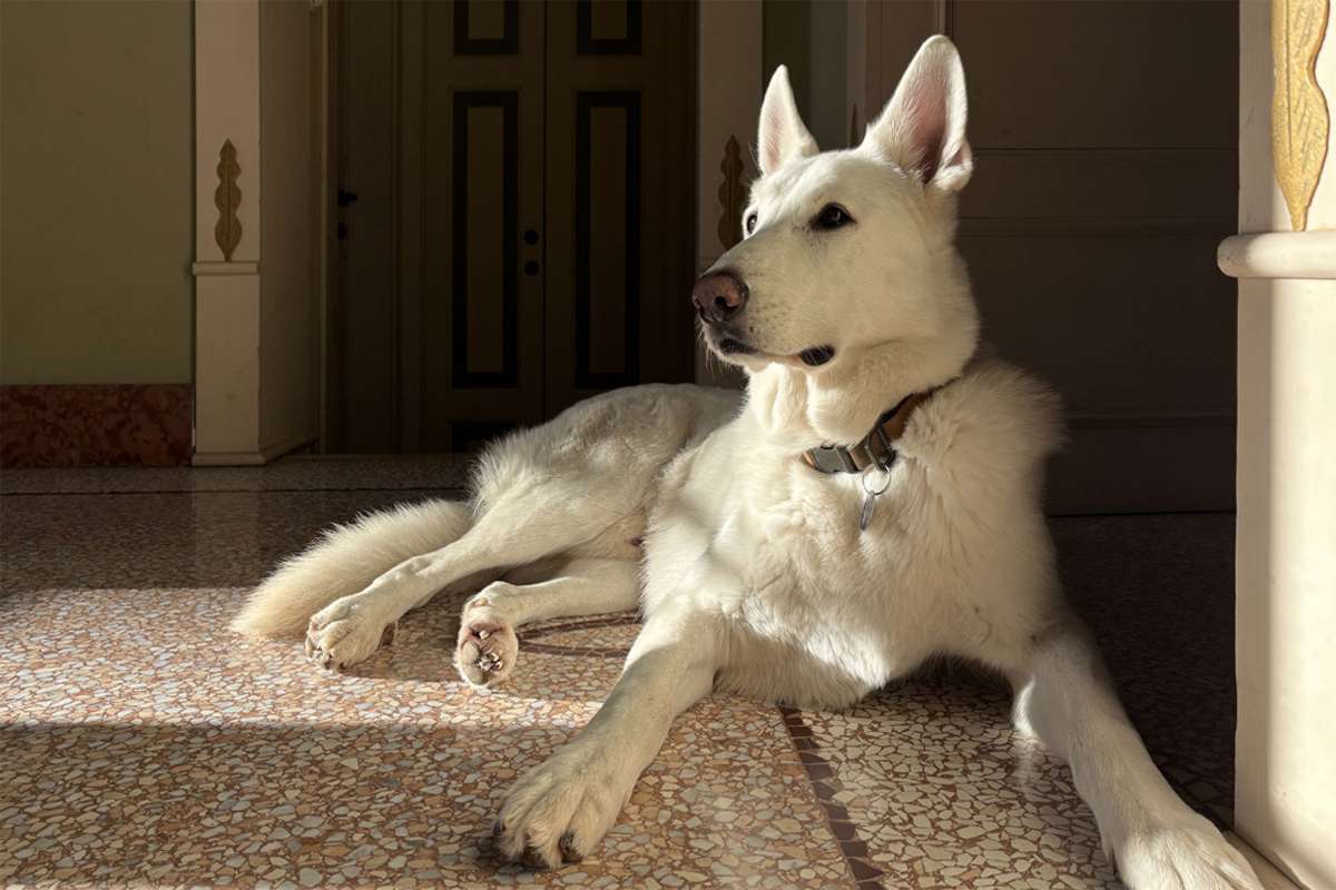 Dernières nouvelles