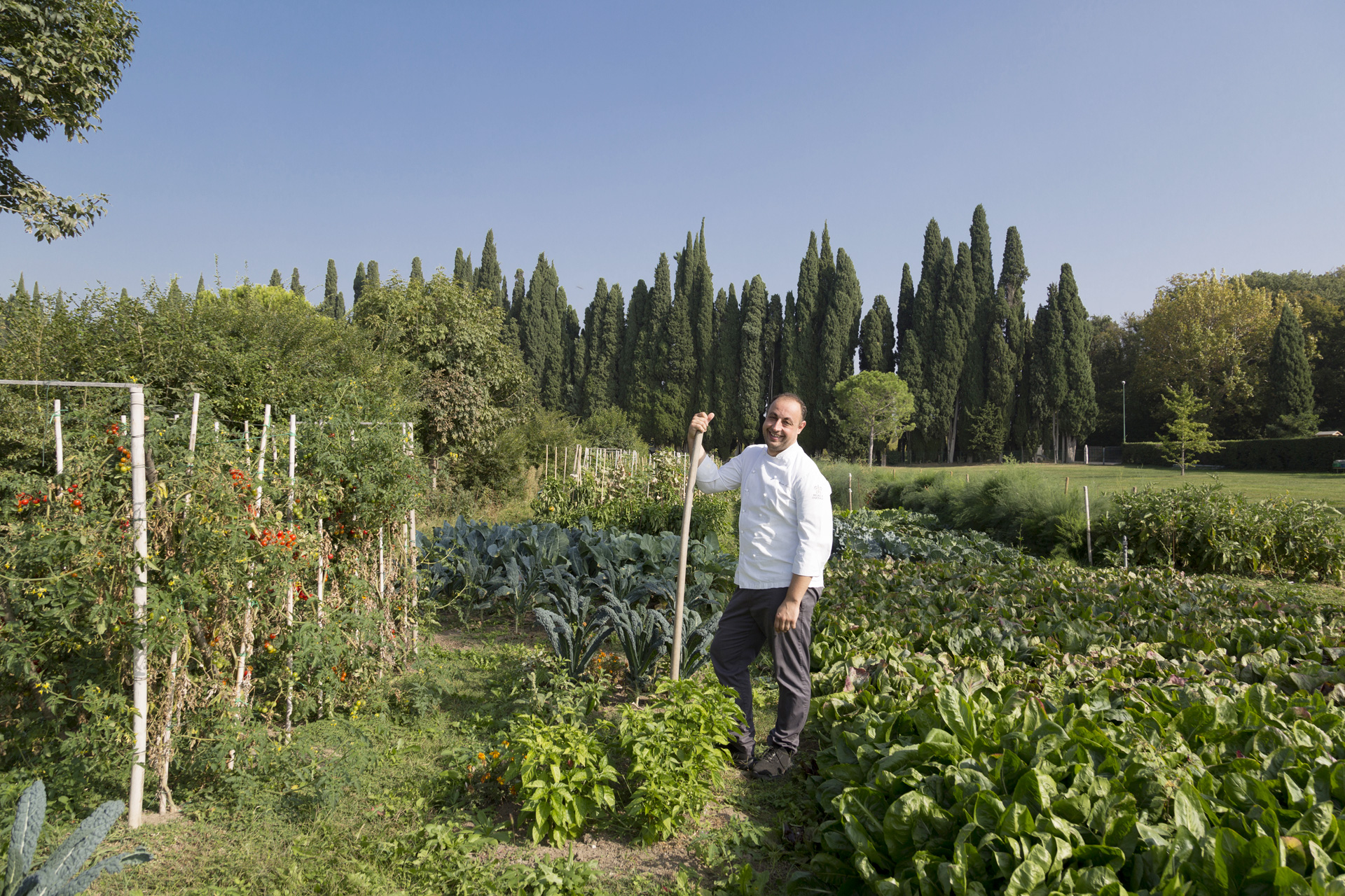 gardens